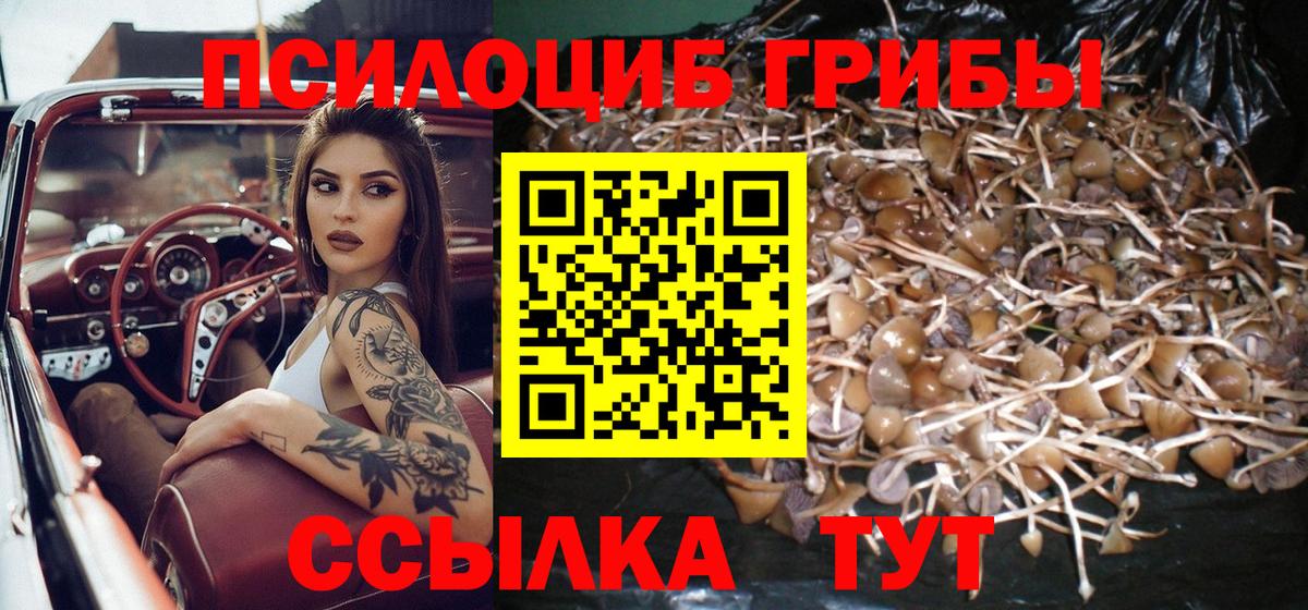 Старый Оскол  Галлюциногенные грибы прущие грибы  Вход с VPN 