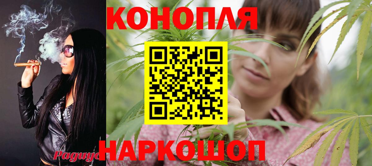 Шишки марихуана семена Старый Оскол